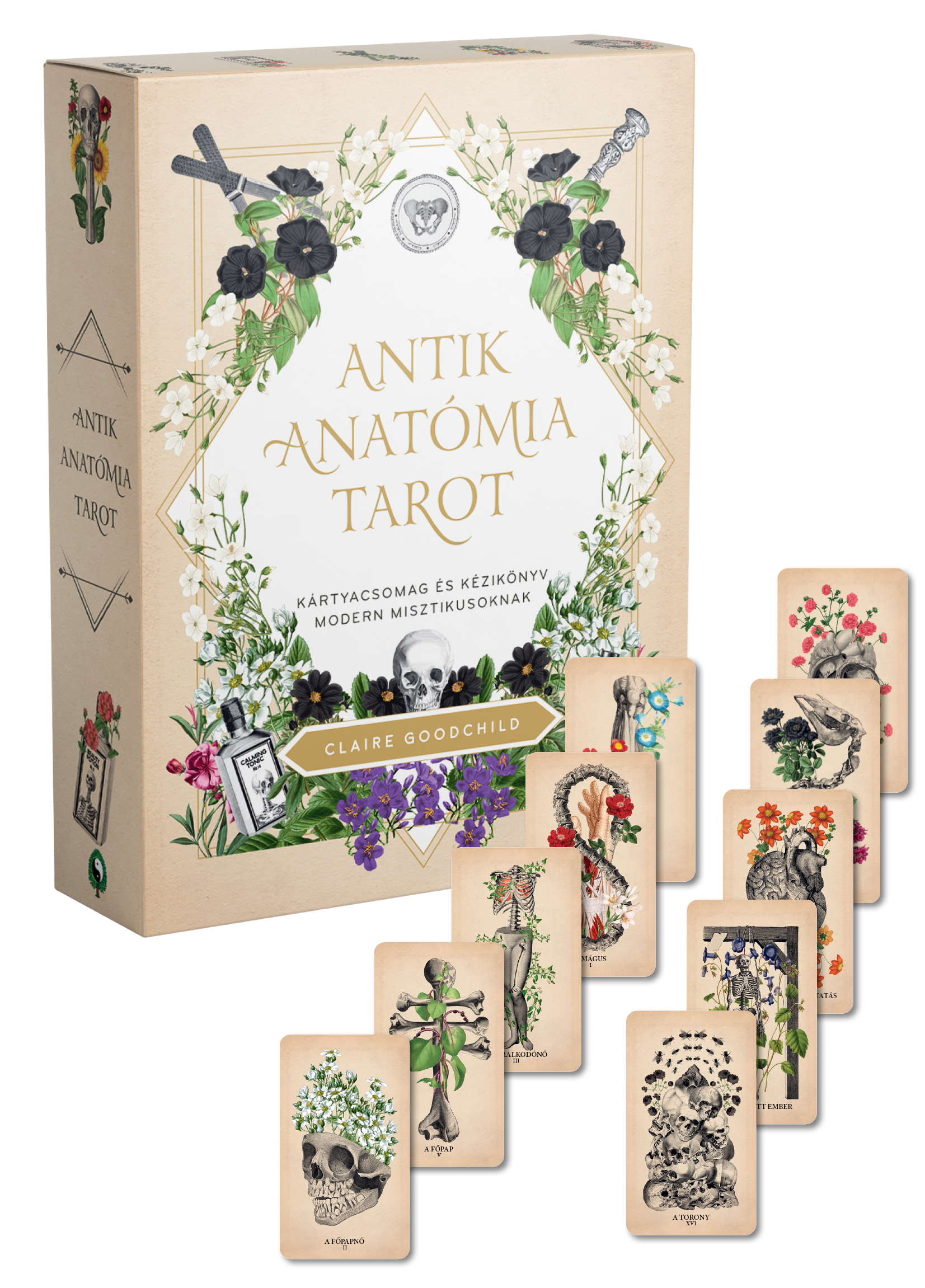 Antik anatómia tarot