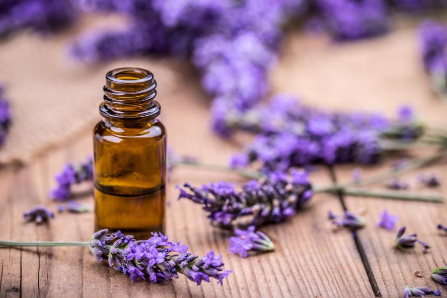 lavender_oil-1.jpg
