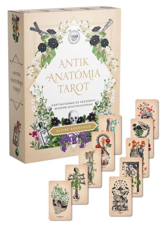 Antik anatómia tarot